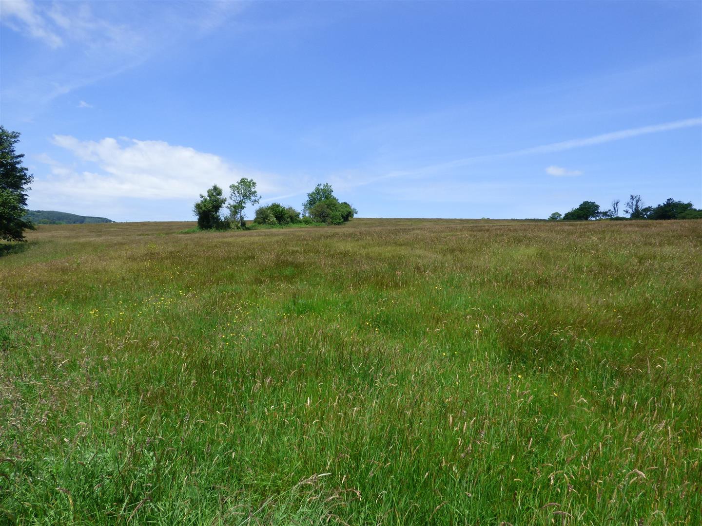 THE LAND